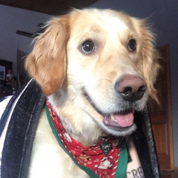 Meet your Posher, Nicole - Picture 7 of 8